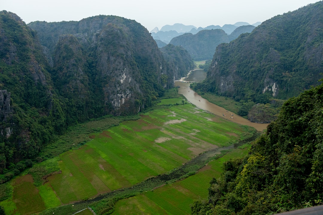 Hình nền