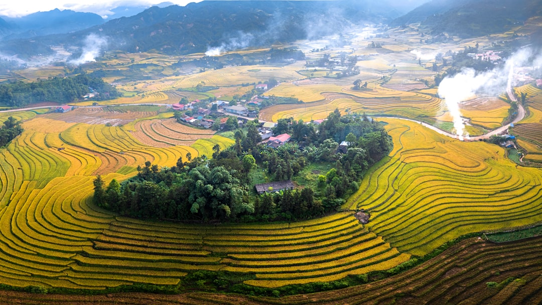 Hình nền