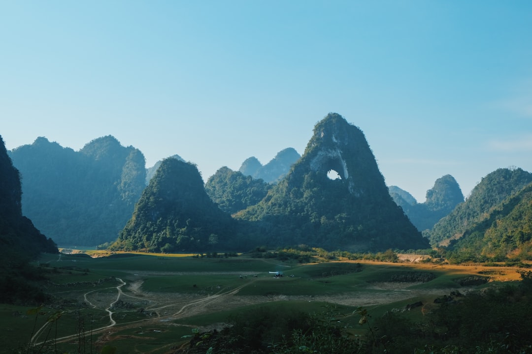 Hình nền