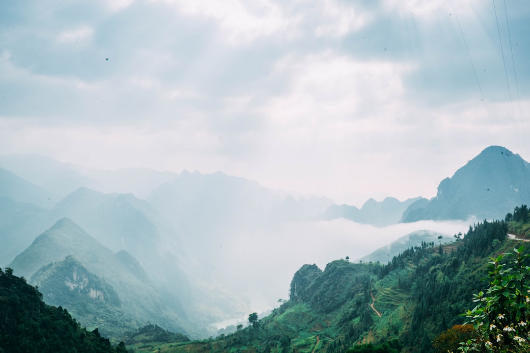 Hình nền