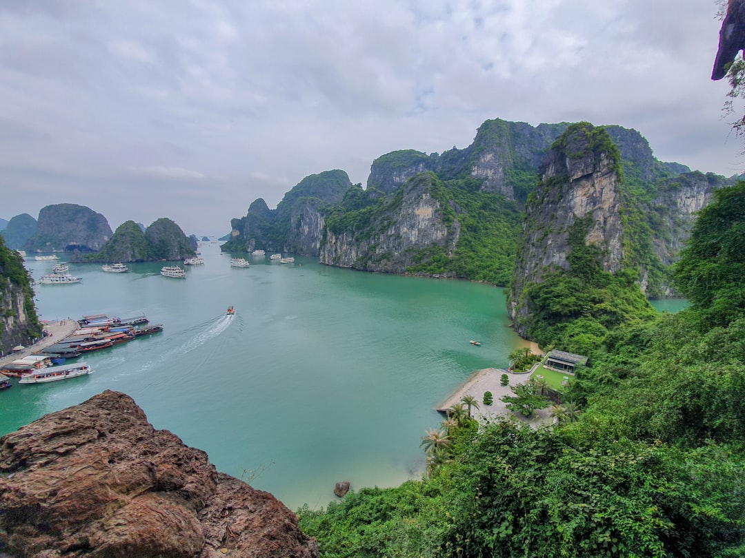 Hình nền
