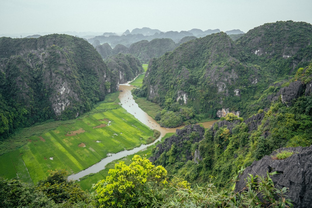 Hình nền