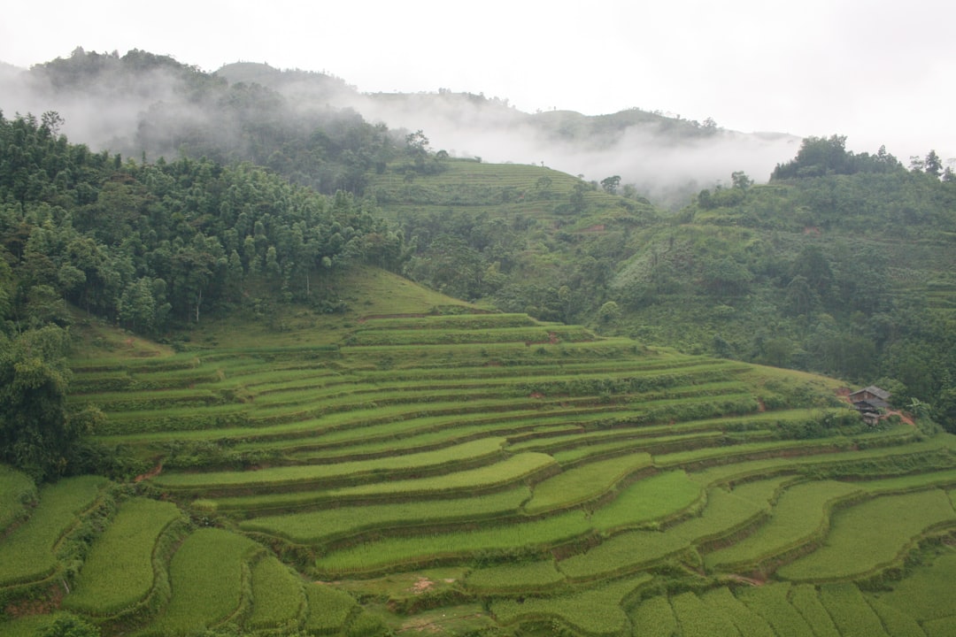 Hình nền