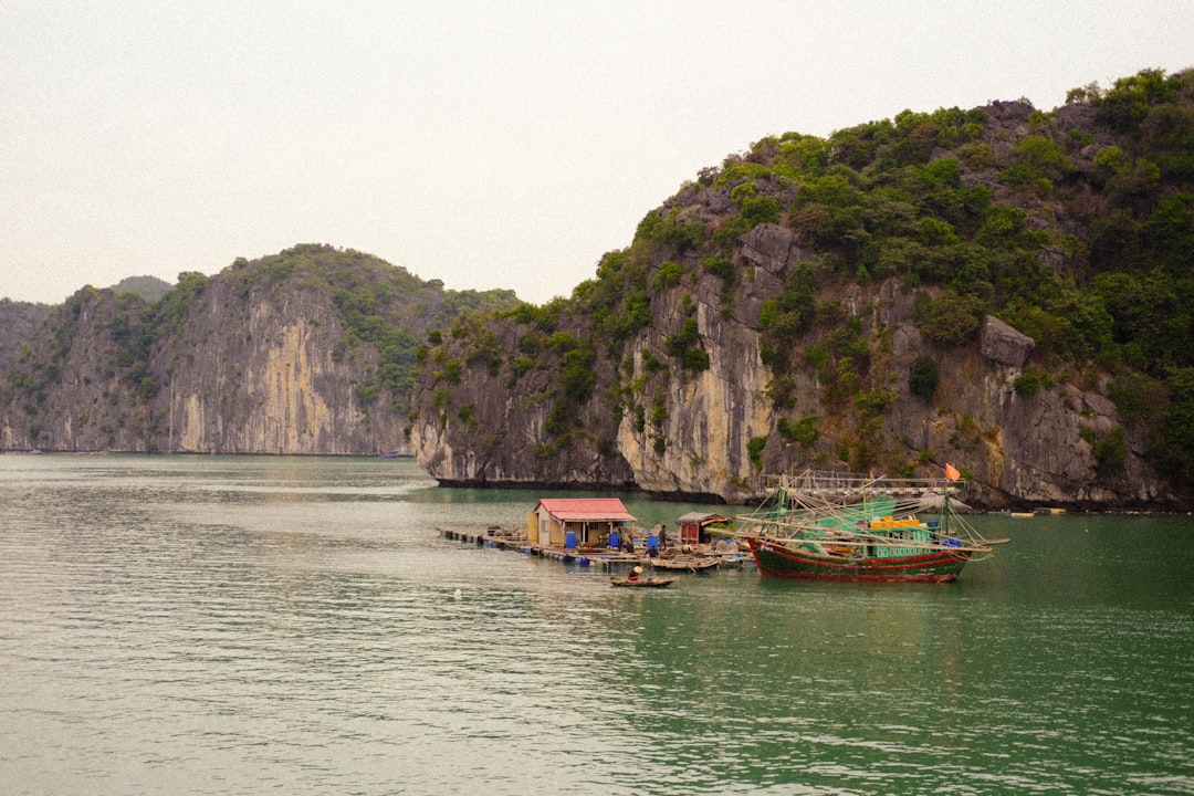 Hình nền