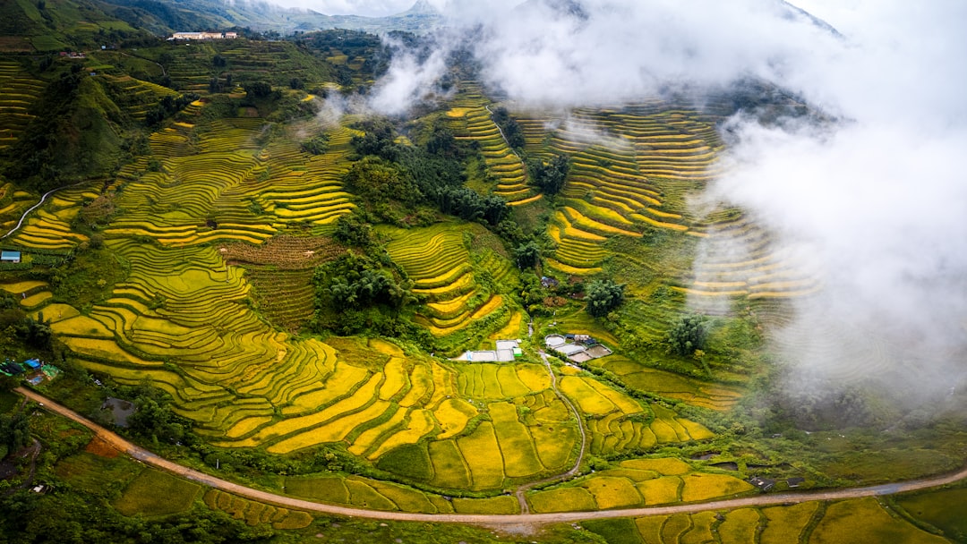 Hình nền