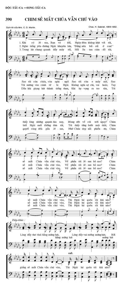 Chim Sẻ Mắt Chúa Vẫn Chú Vào