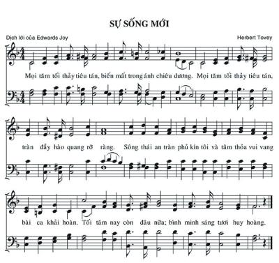 Sự Sống Mới