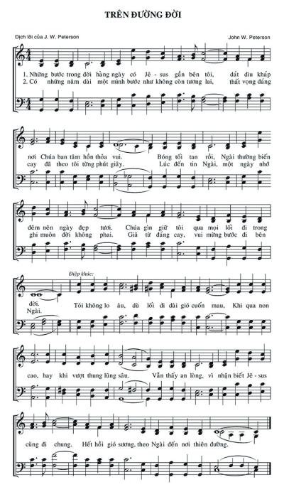 Trên Đường Đời