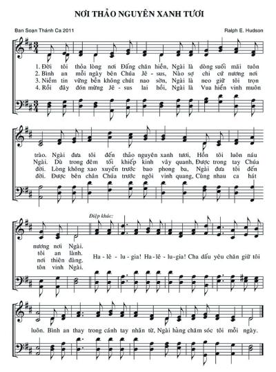 Nơi Thảo Nguyên Xanh Tươi