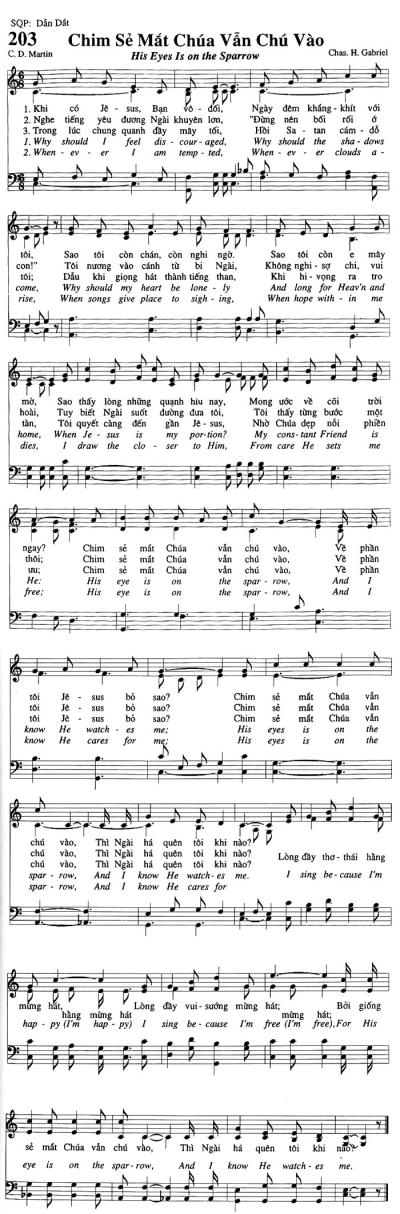 Chim Sẻ Mắt Chúa Vẫn Chú Vào