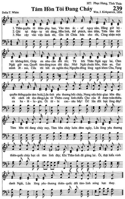 Tâm Hồn Tôi Đang Cháy