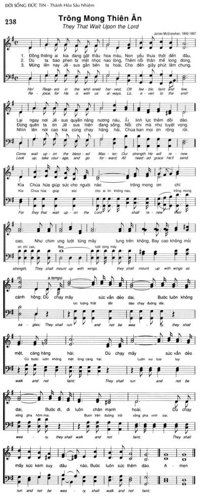 Trông Mong Thiên Ân