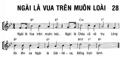 NGÀI LÀ VUA TRÊN MUÔN LOÀI