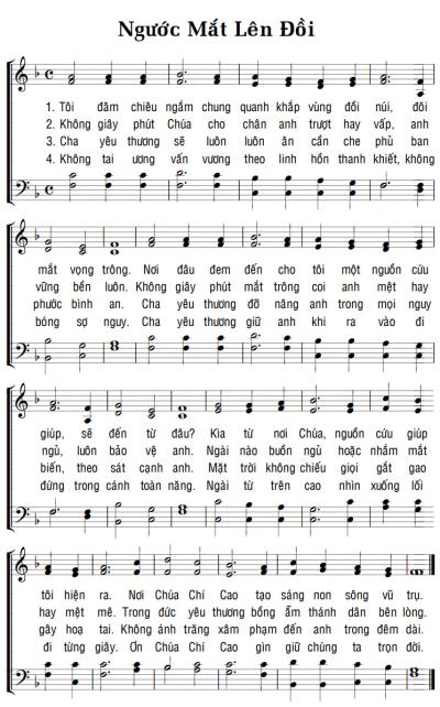 NGƯỚC MẮT LÊN ĐỒI