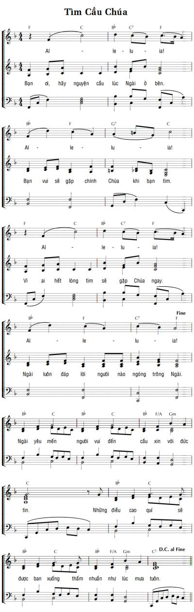 TÌM CẦU CHÚA