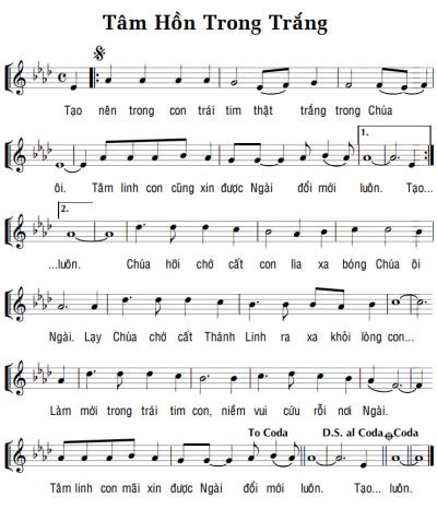 TÂM HỒN TRONG TRẮNG